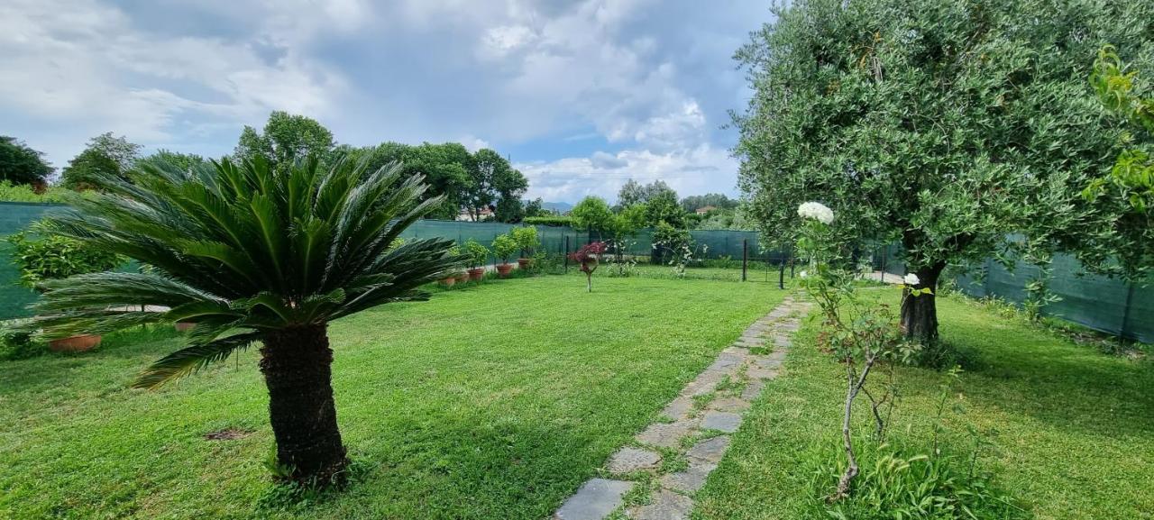 Vila Casa Marcobando Lucca Exteriér fotografie